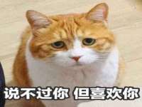 山东沐泽商贸有限公司