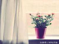 山东沐泽商贸有限公司