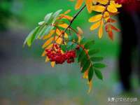 山东沐泽商贸有限公司