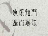 山东沐泽商贸有限公司