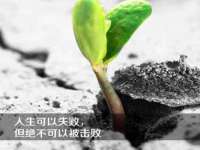 山东沐泽商贸有限公司