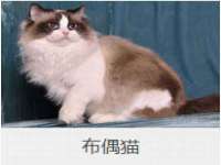 山东沐泽商贸有限公司