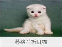 山东沐泽商贸有限公司