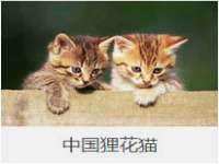 山东沐泽商贸有限公司