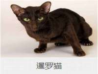 山东沐泽商贸有限公司
