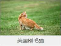 山东沐泽商贸有限公司