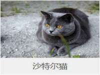 山东沐泽商贸有限公司