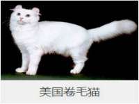 山东沐泽商贸有限公司