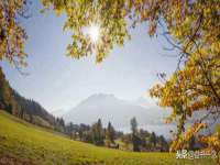 山东沐泽商贸有限公司