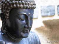 山东沐泽商贸有限公司