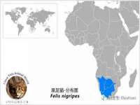 山东沐泽商贸有限公司