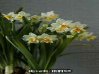 山东沐泽商贸有限公司