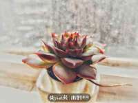 山东沐泽商贸有限公司