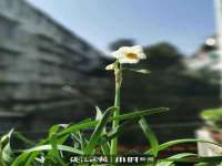 山东沐泽商贸有限公司