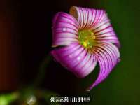 山东沐泽商贸有限公司