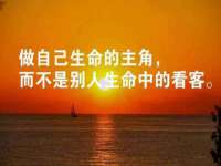 山东沐泽商贸有限公司