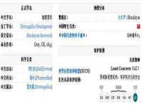 山东沐泽商贸有限公司
