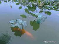 山东沐泽商贸有限公司