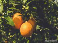 山东沐泽商贸有限公司