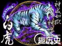 山东沐泽商贸有限公司