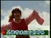 山东沐泽商贸有限公司