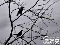 山东沐泽商贸有限公司