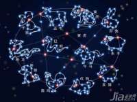山东沐泽商贸有限公司