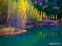 山东沐泽商贸有限公司