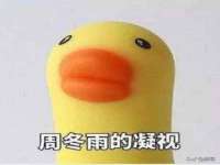山东沐泽商贸有限公司