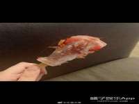 山东沐泽商贸有限公司